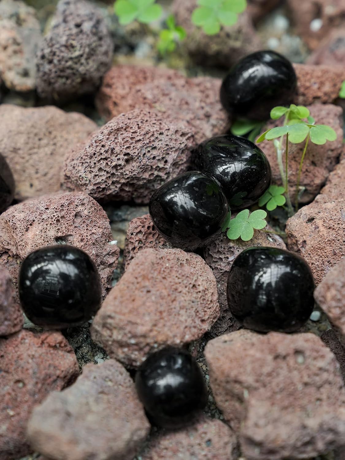 1/2 lb Tumbled Healing Crystals | Obsidian, Amethyst, Quartz, Aventurine, Jasper, Rose Quartz & Tiger Eye Stones (Polished 20–50mm)