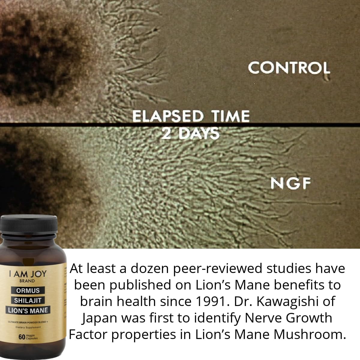 Ormus Shilajit Lion’s Mane – Ultimate Brain & Energy Booster | 24K Monoatomic Gold for Memory, Focus & Creativity (60 Vegan Capsules)
