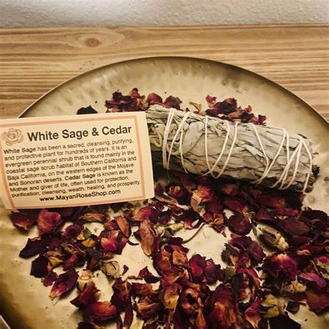 White Sage + Cedar Smudge Stick Bundle | 3-Pack