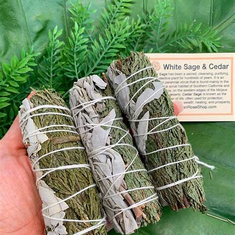 White Sage + Cedar Smudge Stick Bundle | 3-Pack