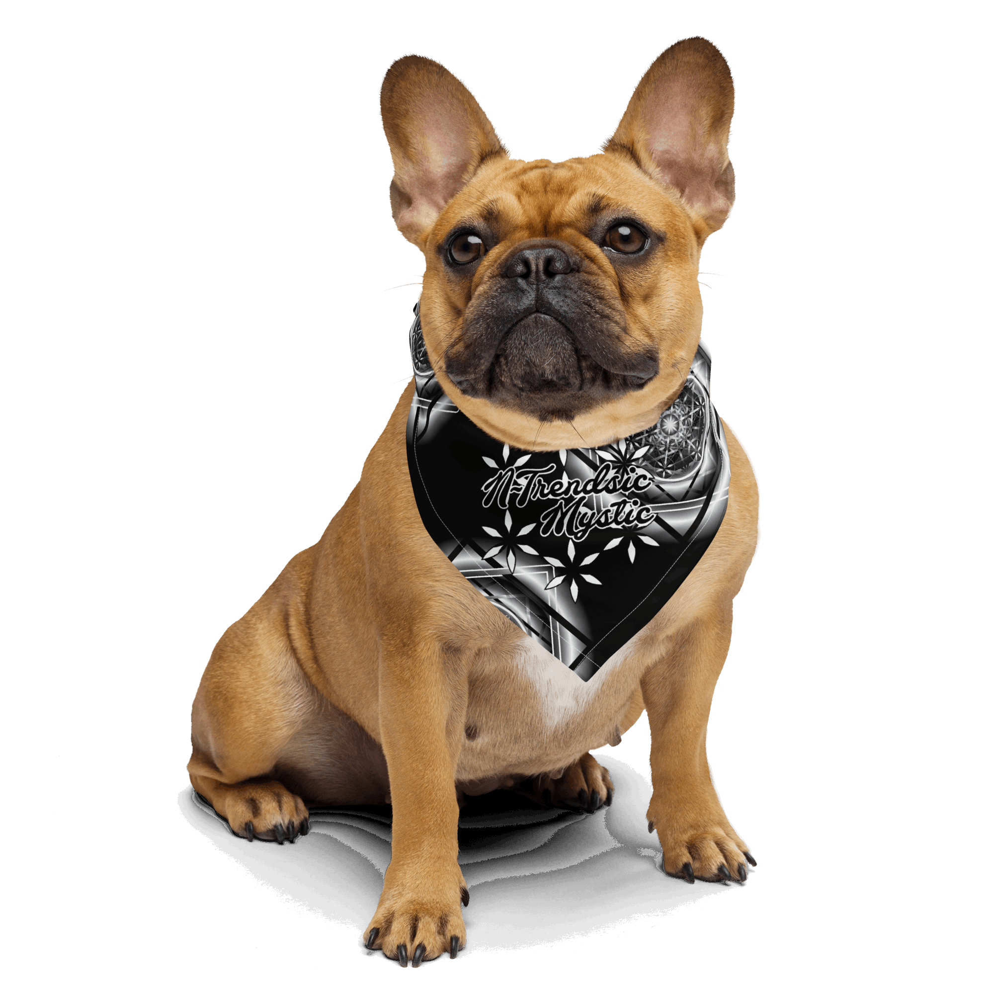 Melchizedek B&W - All-over print bandana