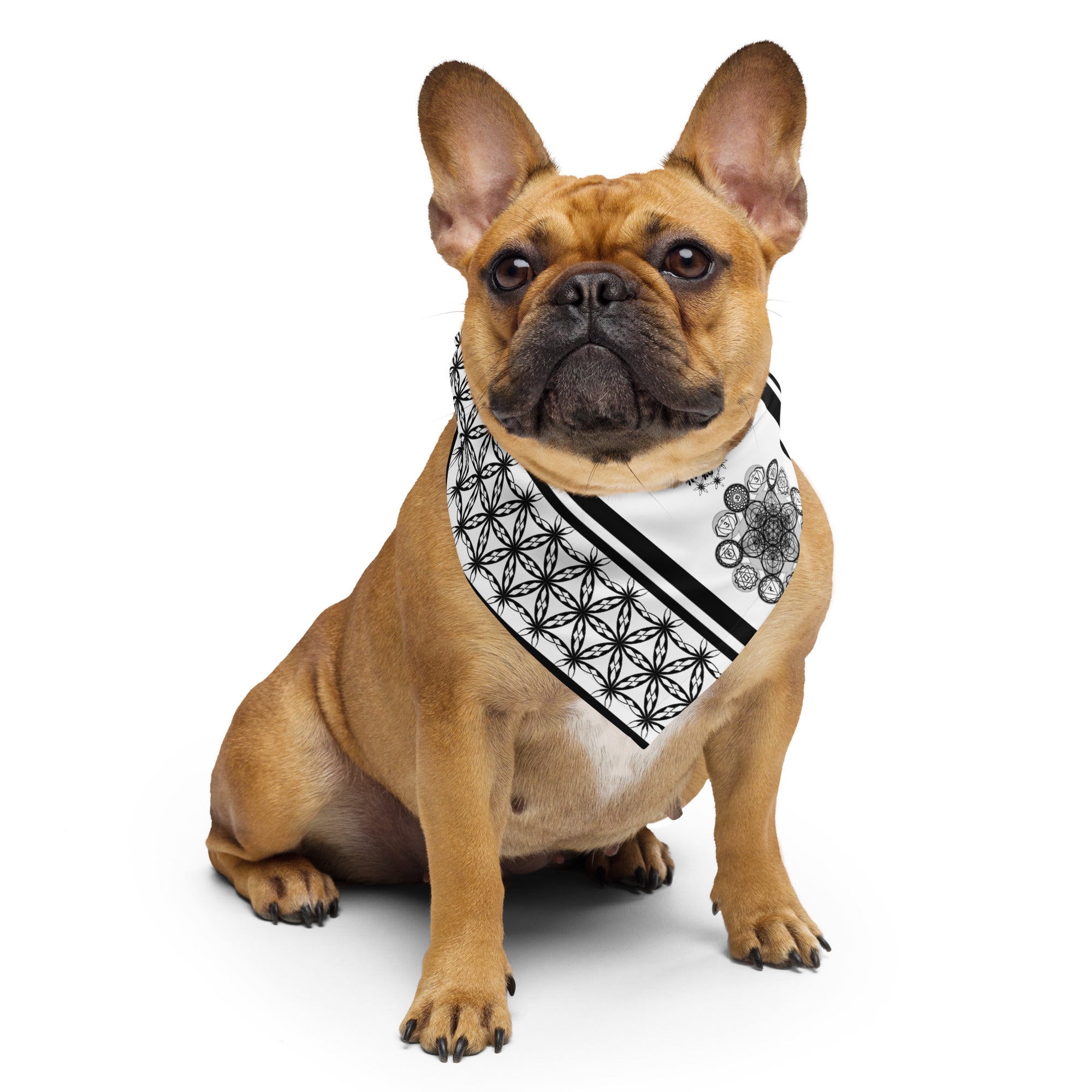 Mystic Alignment | All-Over Print Bandana