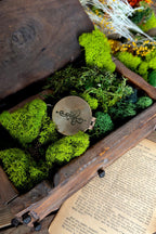 Compass of Many Paths | A Symbolic Navigation Tool