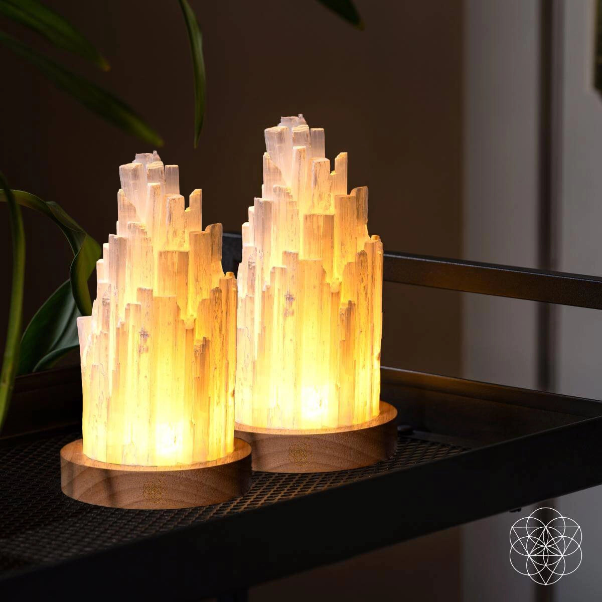 The Cleanse-All Selenite Lamp - 2 Pounds of Healing Power